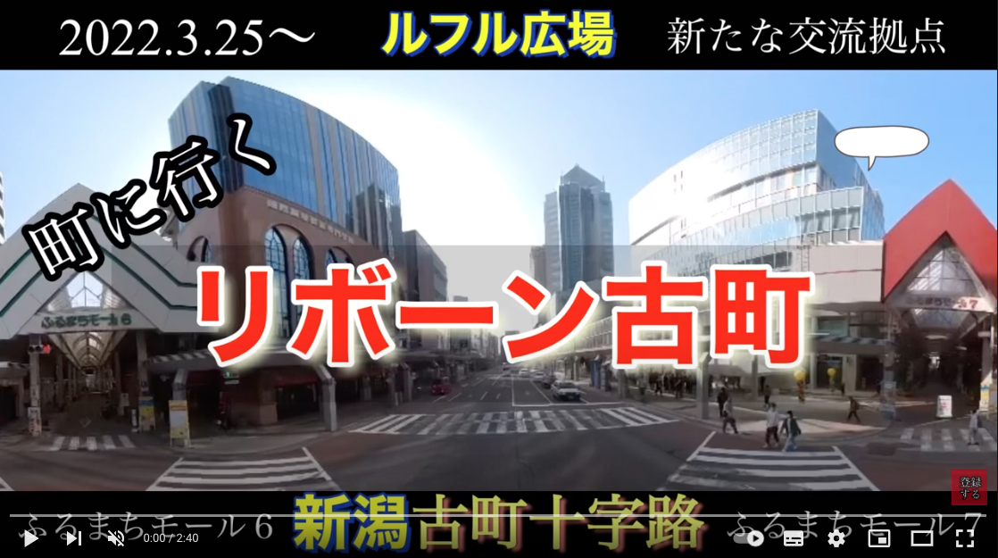 【新潟観光】角田山自生の『雪割草／新潟県の草花』　日本海側、新潟県に多く自生するスプリング・エフェメレルです。カタクリとの共演が見ごろを迎えています。